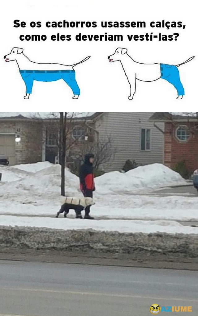 Como deveriam ser as calças de cachorros?