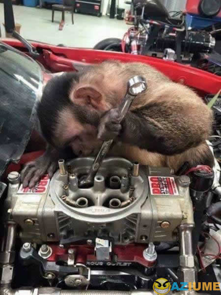 Os mecânicos da minha cidade é assim Os mecânicos da minha cidade é assim