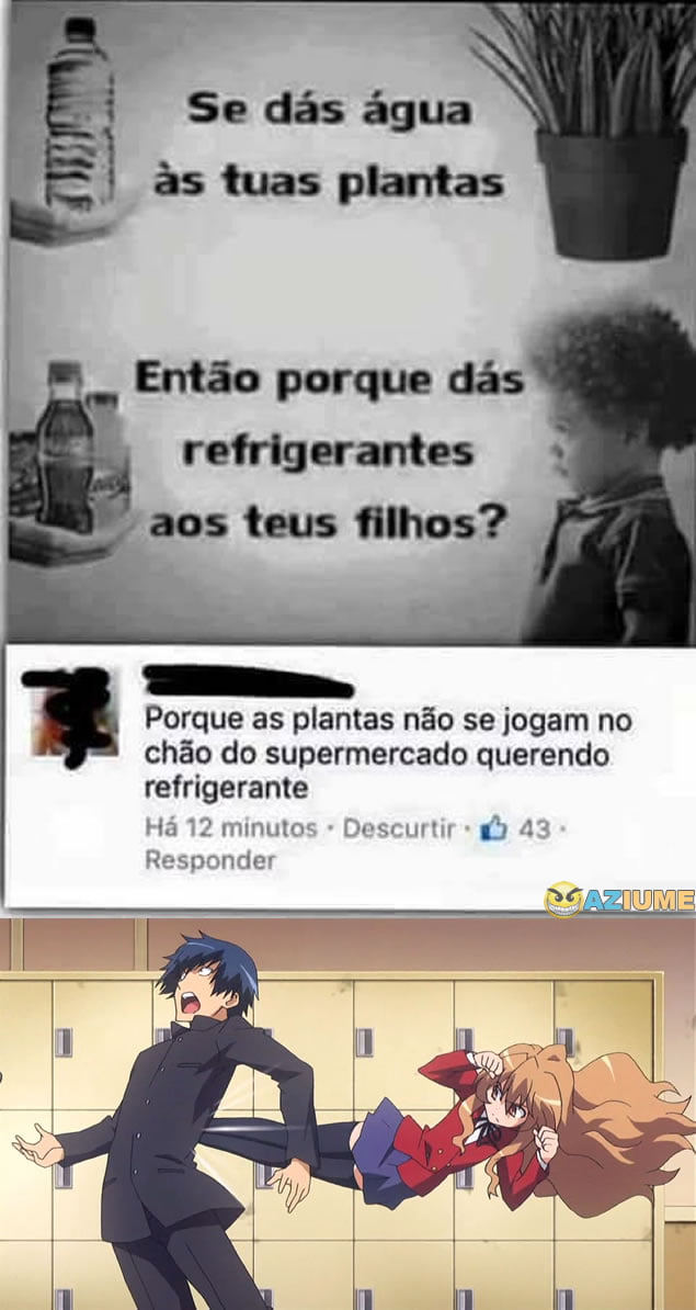 Melhor patada que você vai ver hoje