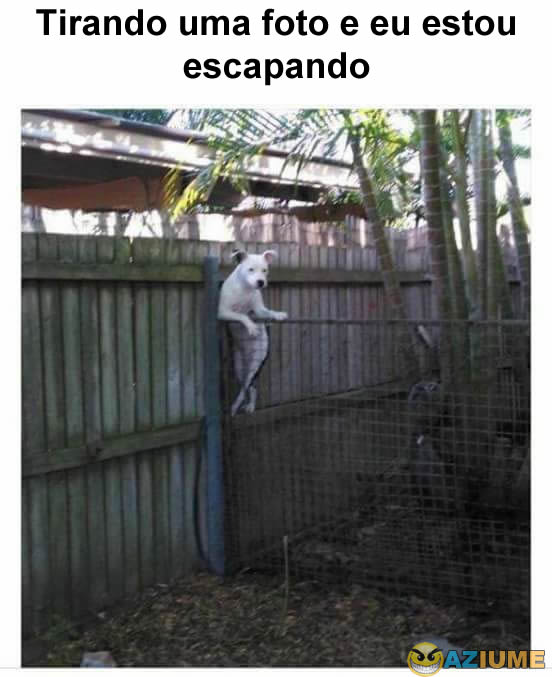 Tirando uma foto e eu estou escapando