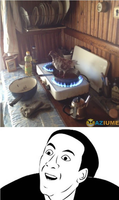 Aprenda cozinhar uma galinha