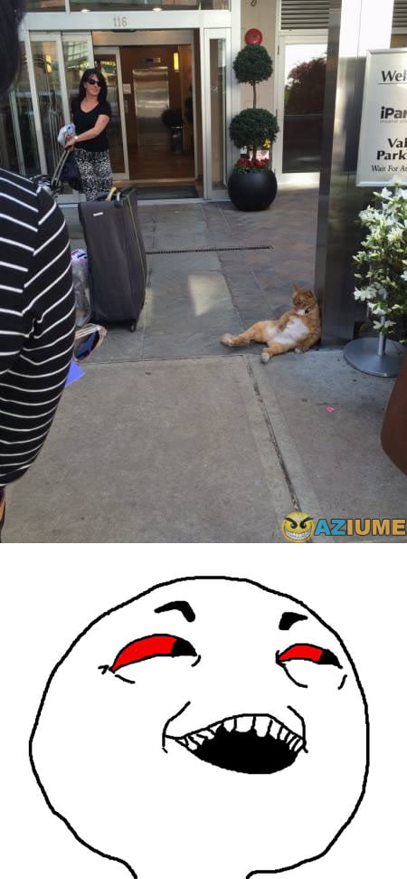 Começo de semana é sempre assim