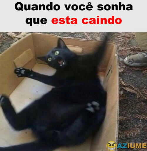 Quando você sonha que esta caindo Quando você sonha que esta caindo
