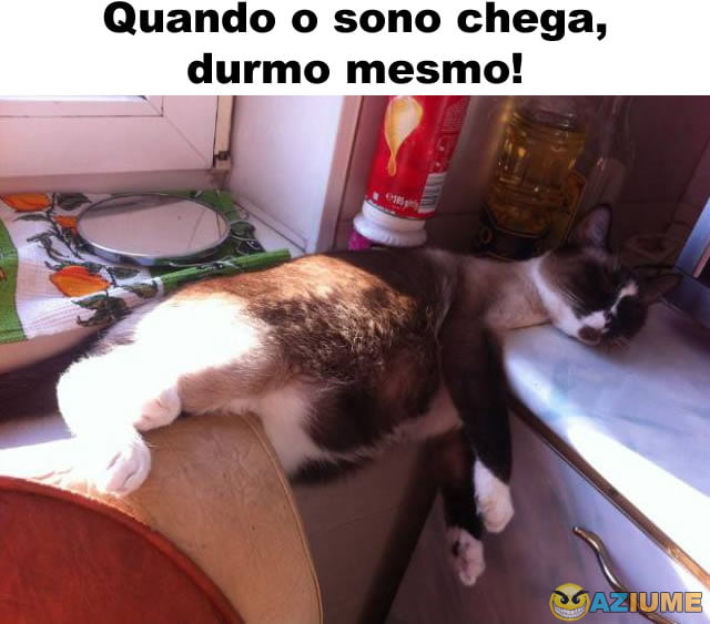 Quando o sono chega, durmo mesmo!