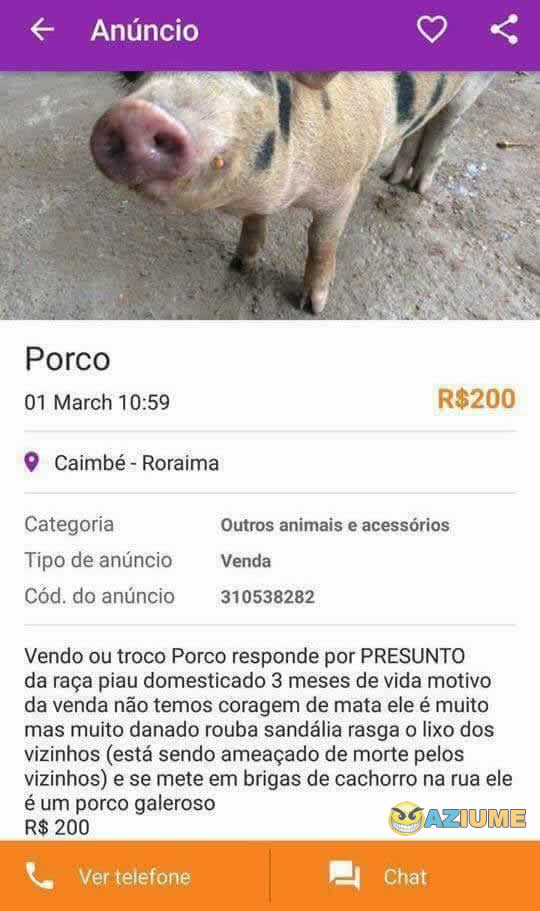 Vende se um porco