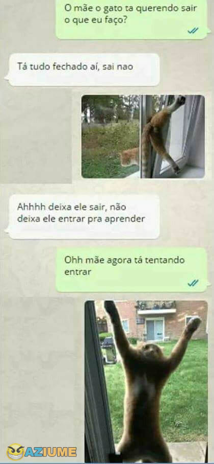 Ensinando uma lição para o gato