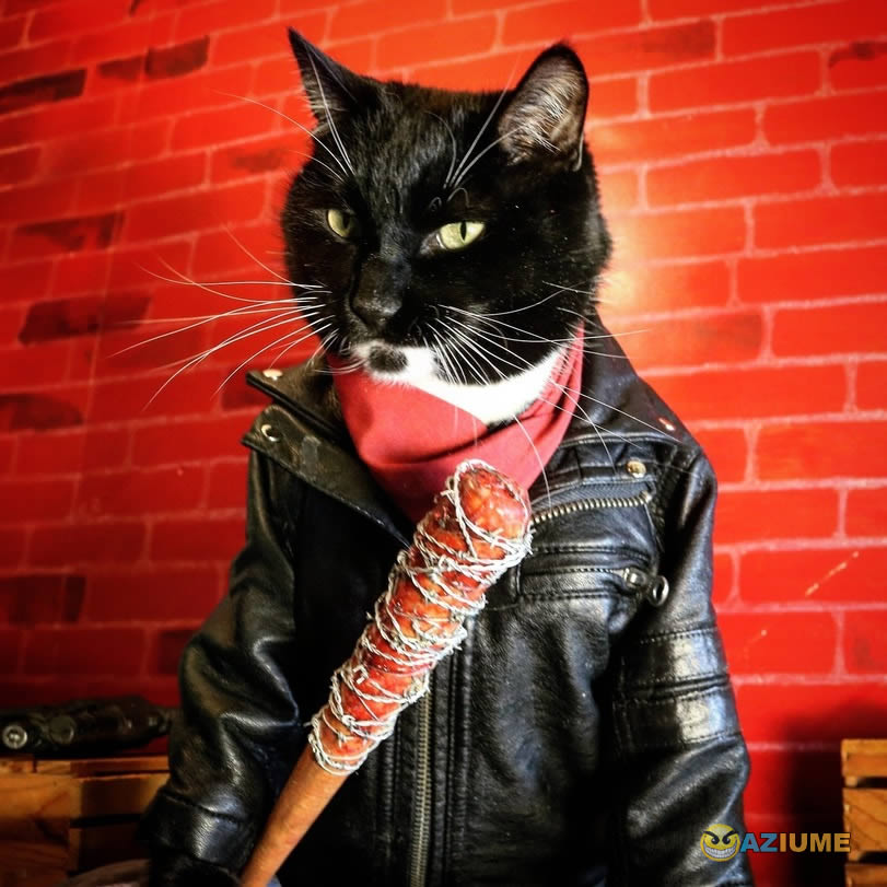 Gato Negan
