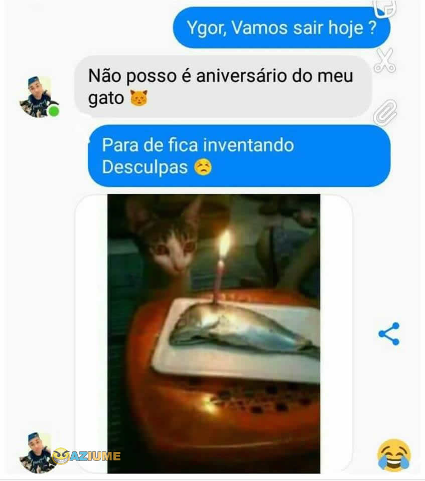 Aniversário do meu gato