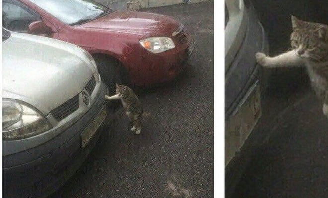 Quando eu tento correr logo de cedo