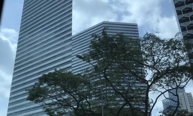 Este edifício parece um pedaço de papel Este edifício parece um pedaço de papel