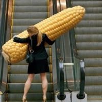 Links da Semana – Aziume #15