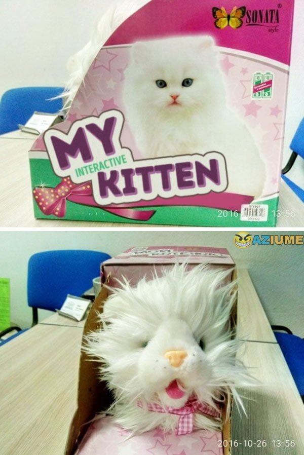 Quando você compra um novo brinquedo, mas ele se torna um pesadelo