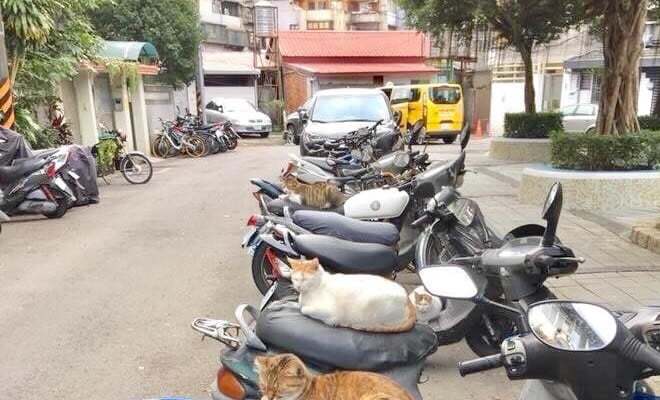 Clube de motoqueiros