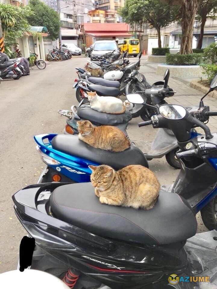 Clube de motoqueiros