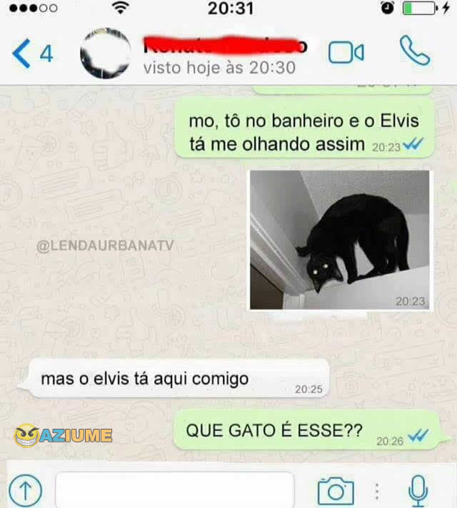 Que gato é esse?