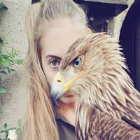 Essas coincidências são realmente tão boas! Links da Semana – Aziume #18