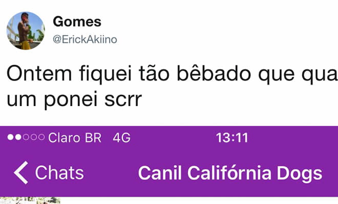 Quase comprei um pônei bêbado