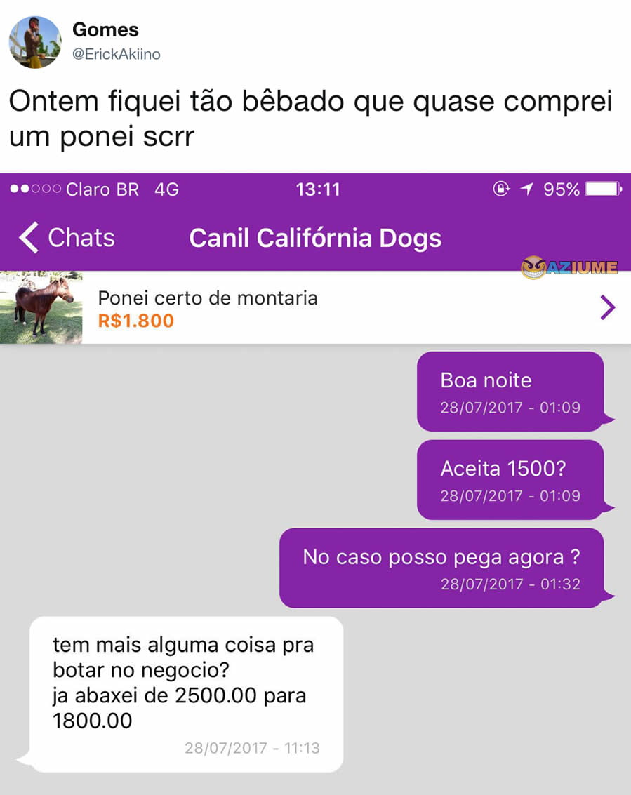 Quase comprei um pônei bêbado