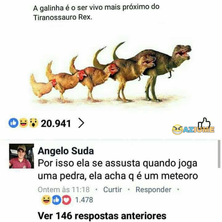 Galinha é o ser vivo mais próximo do Tiranossauro Rex Galinha é o ser vivo mais próximo do Tiranossauro Rex
