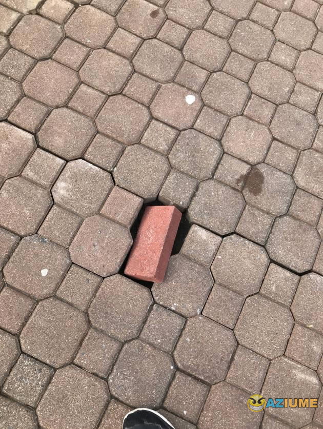 Minha vida em uma unica foto