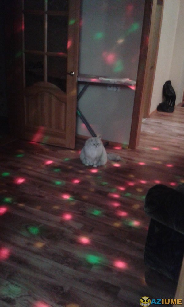 Eu nas festas Eu nas festas