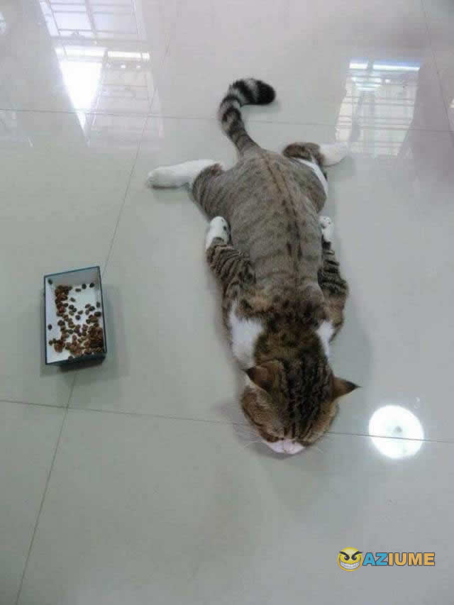 Sem vontade e ânimo pra nada