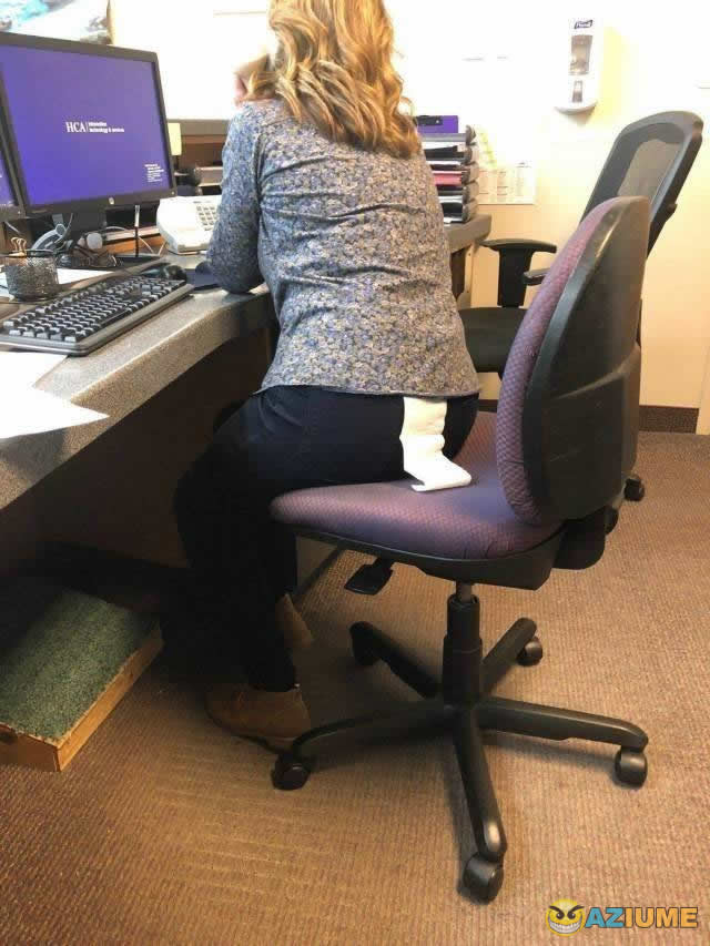 Acho que alguém foi no banheiro rápido demais Acho que alguém foi no banheiro rápido demais