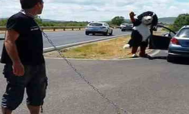 Se você pode, eu também posso Se você pode, eu também posso