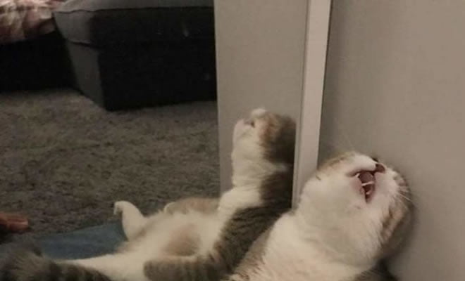 Como foi o dia? Como foi o dia?