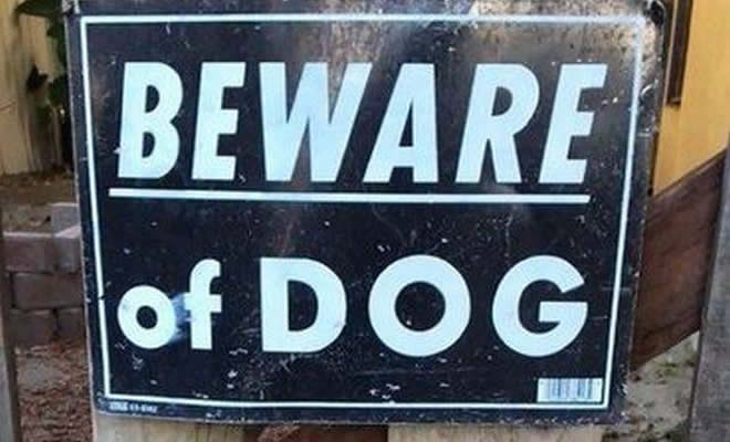 Cuidado cachorro bravo Cuidado cachorro bravo