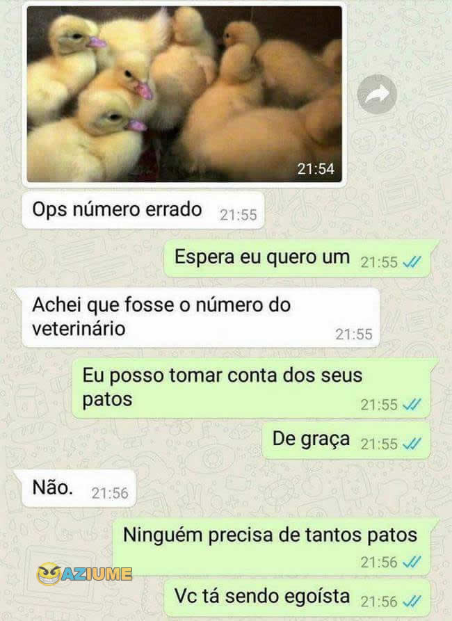 Eu posso tomar conta dos seus patos