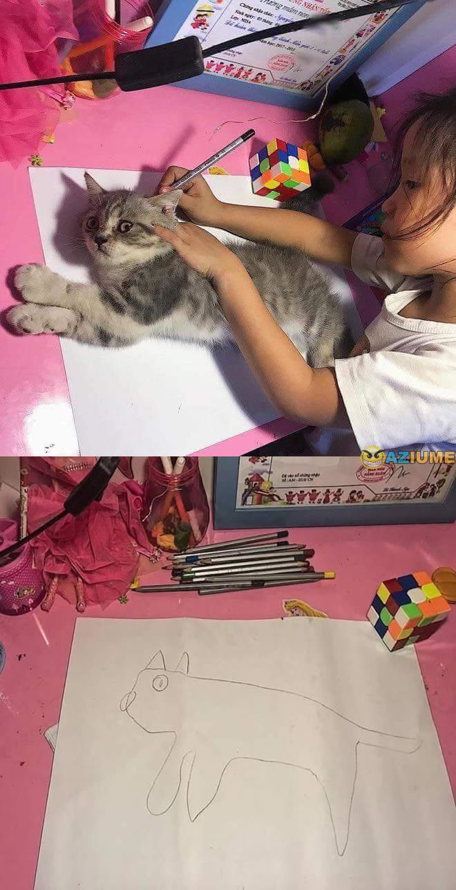 Minha filha desenhado um gato Minha filha desenhado um gato
