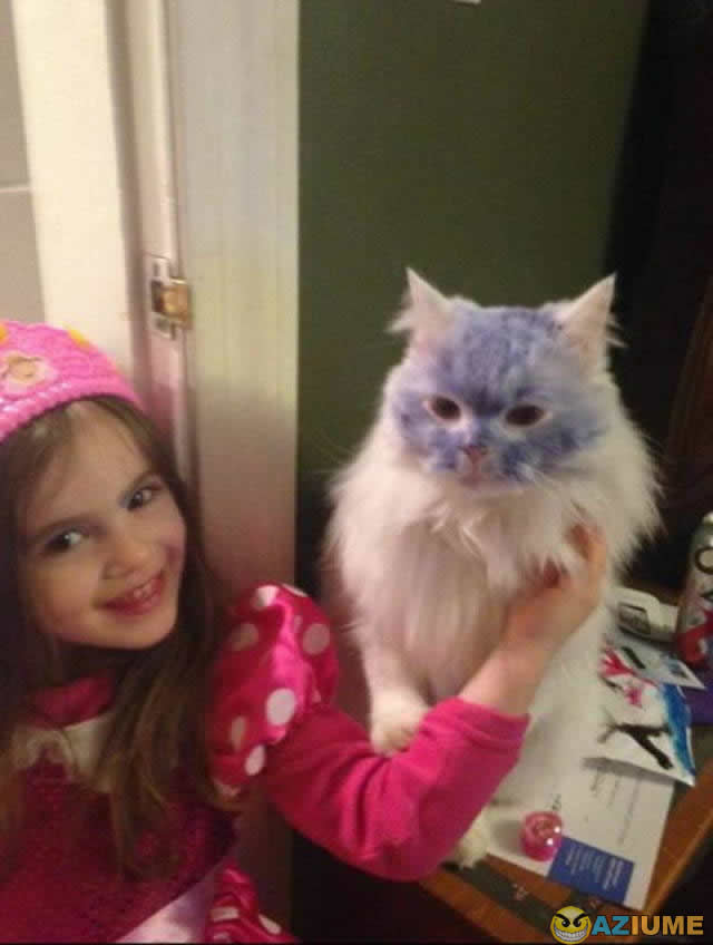 Cara de felicidade do gato