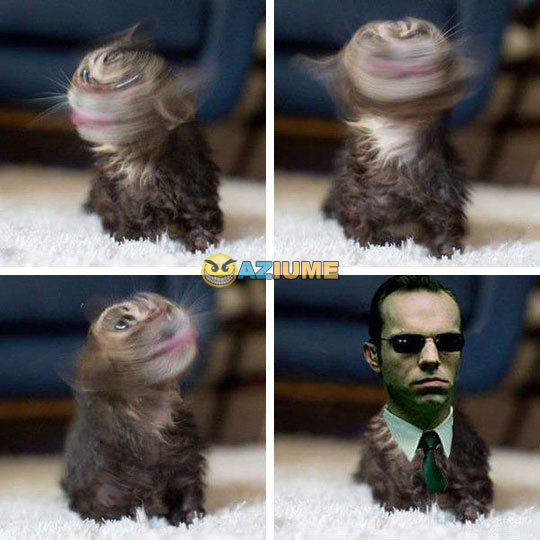 Amo internet por isso Amo internet por isso