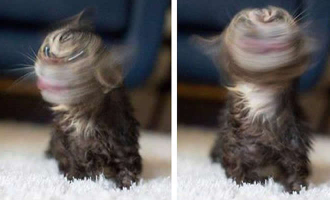 Amo internet por isso