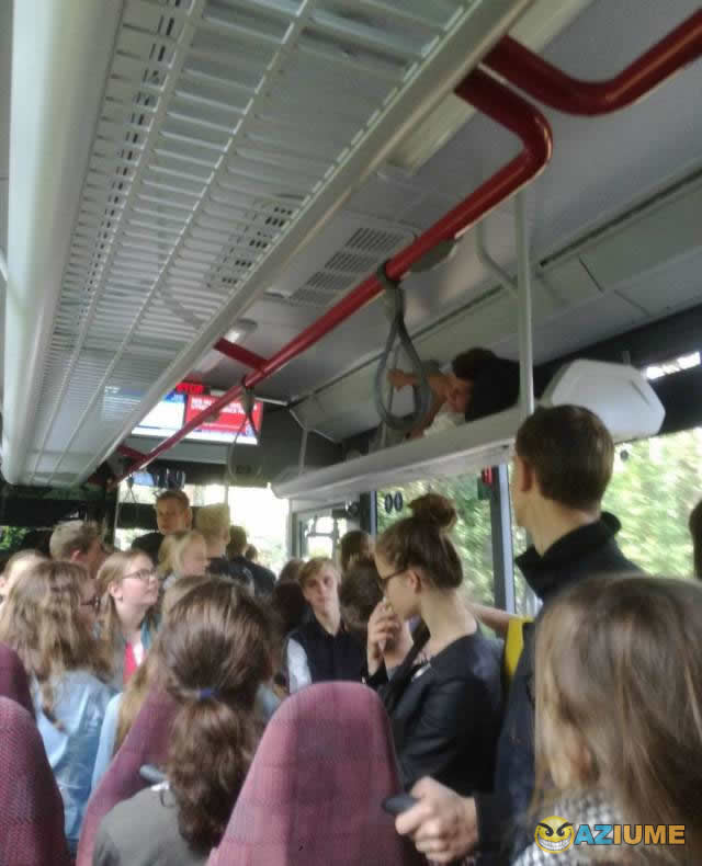 Um dia normal no ônibus Um dia normal no ônibus