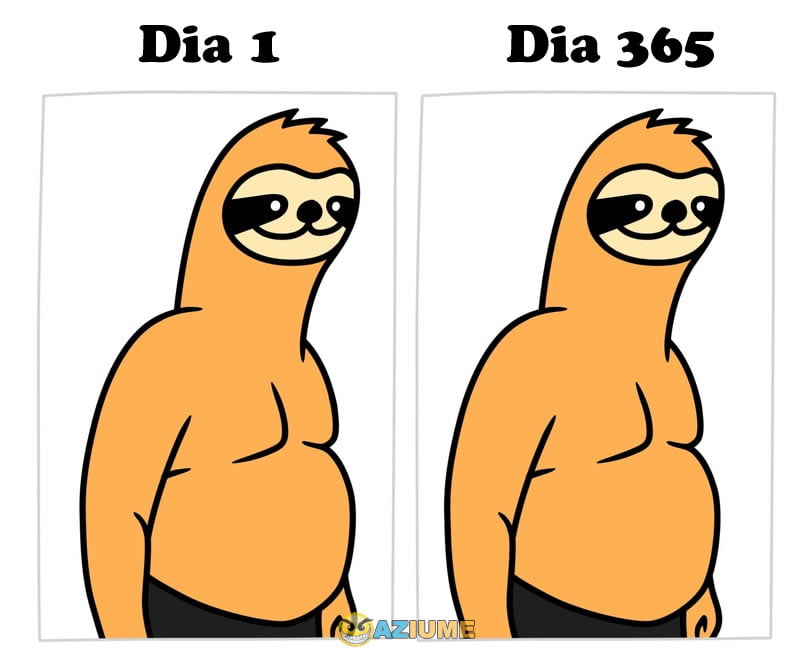 Minha evolução na academia Minha evolução na academia