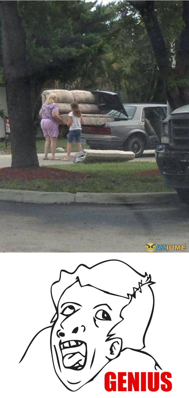 A inteligência de algumas pessoas são demais A inteligência de algumas pessoas são demais