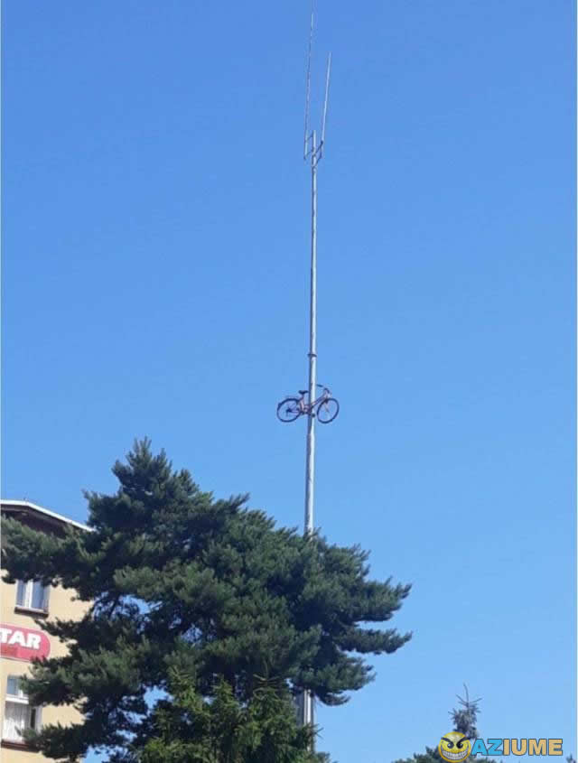 Duas perguntas: Como e Por quê? Duas perguntas: Como e Por quê?