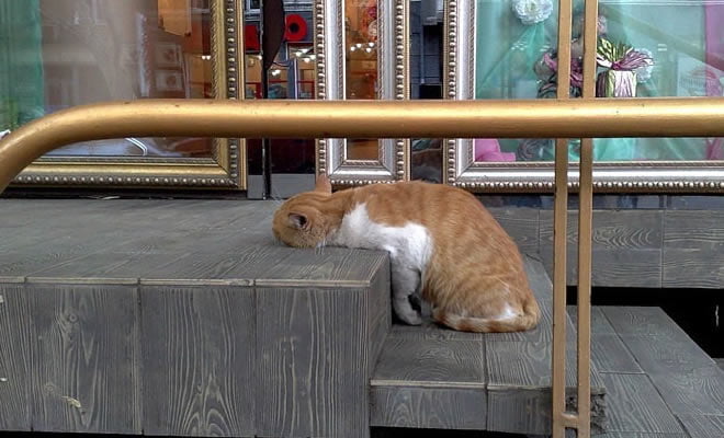 Desafio da semana Desafio da semana