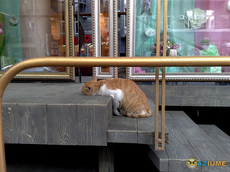 Quando o dia foi cansativo Quando o dia foi cansativo