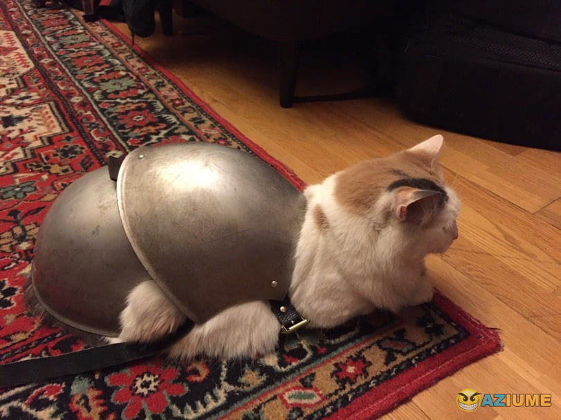 Caracóis de guerra Caracóis de guerra