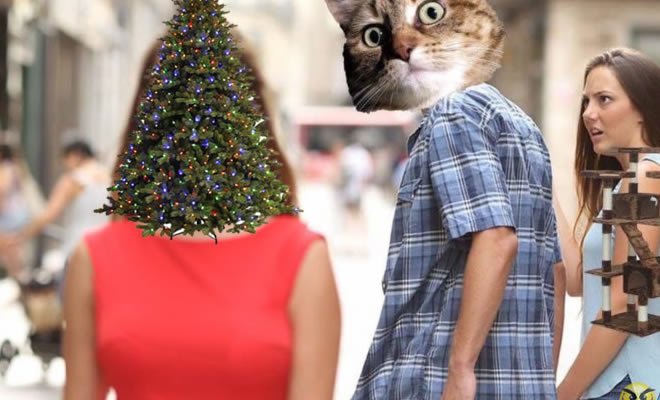 O que os gatos gostam no natal