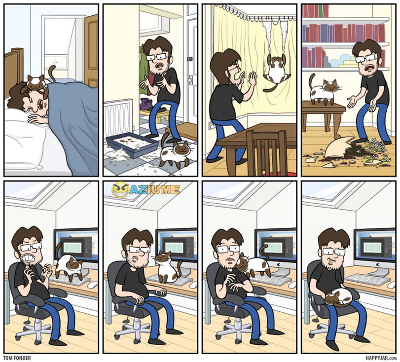 Apenas 1 dia normal com gato em casa