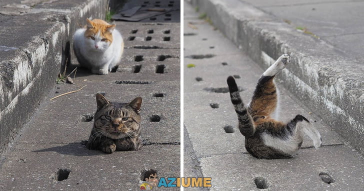 Não tem jeito de você entrar aí Não tem jeito de você entrar aí