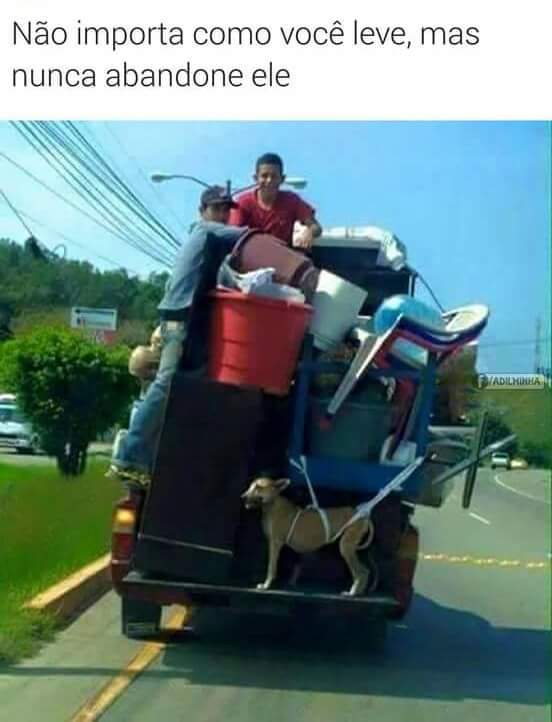 O importante é não abandonar O importante é não abandonar