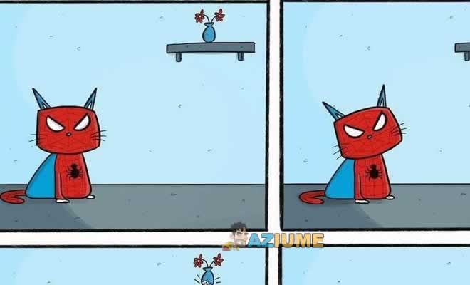 Gato aranha Gato aranha