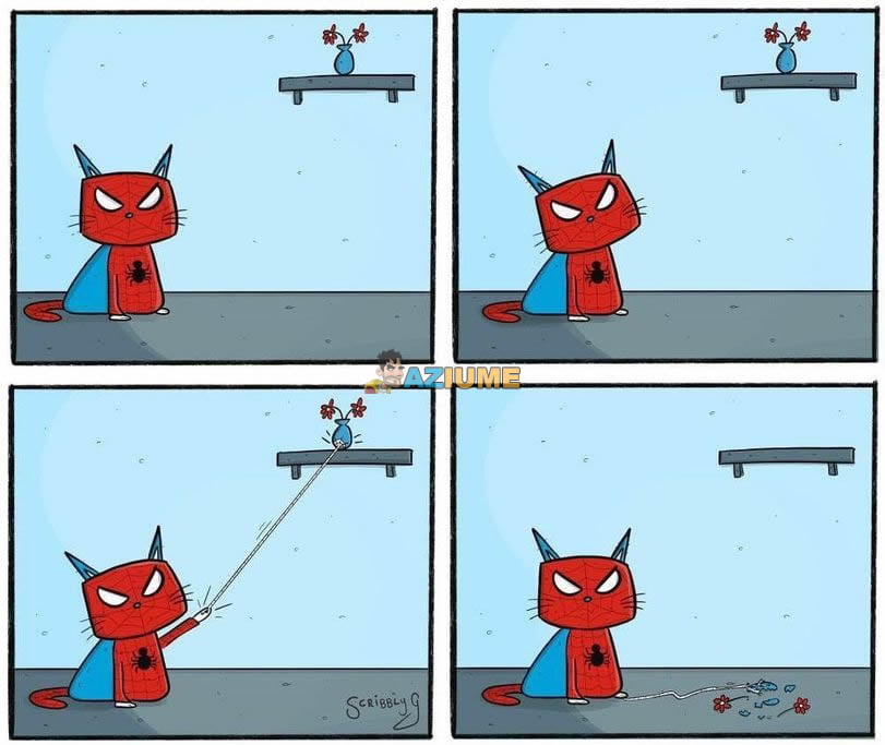 Gato aranha Gato aranha