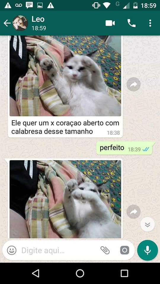 Como fazer aquele pedido de lanche