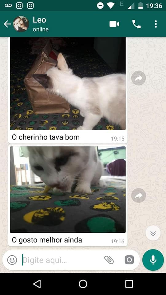 Como fazer aquele pedido de lanche